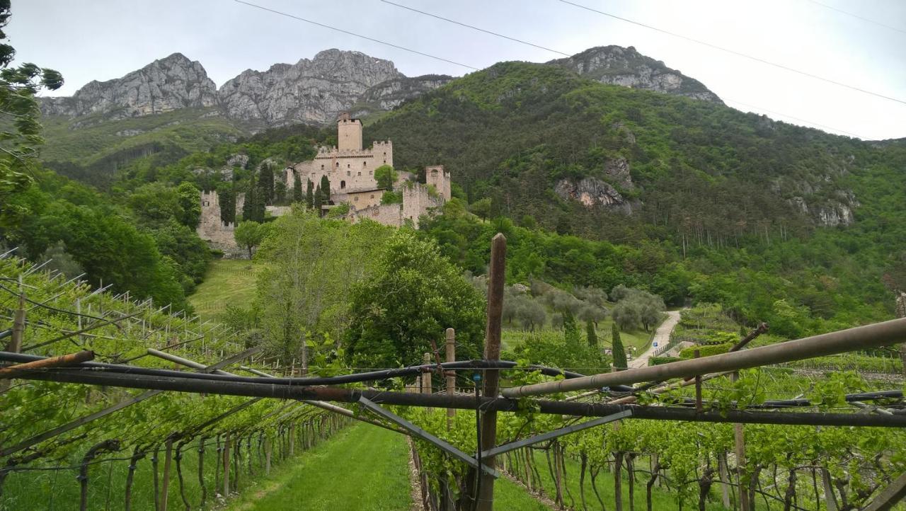 Appartamenti Camere Masi Brenta Rovereto  Zewnętrze zdjęcie